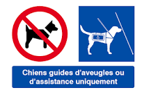 Chiens d assistance